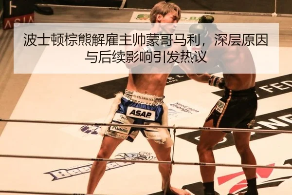 波士顿棕熊解雇主帅蒙哥马利，深层原因与后续影响引发热议