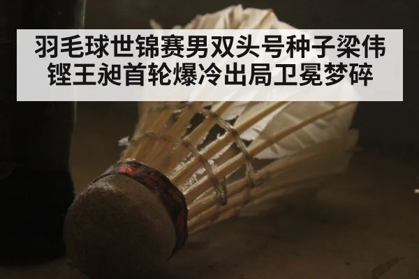羽毛球世锦赛男双头号种子梁伟铿王昶首轮爆冷出局卫冕梦碎