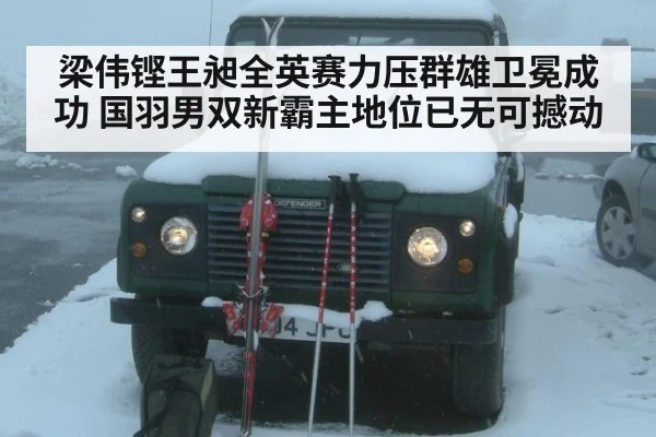 梁伟铿王昶全英赛力压群雄卫冕成功 国羽男双新霸主地位已无可撼动